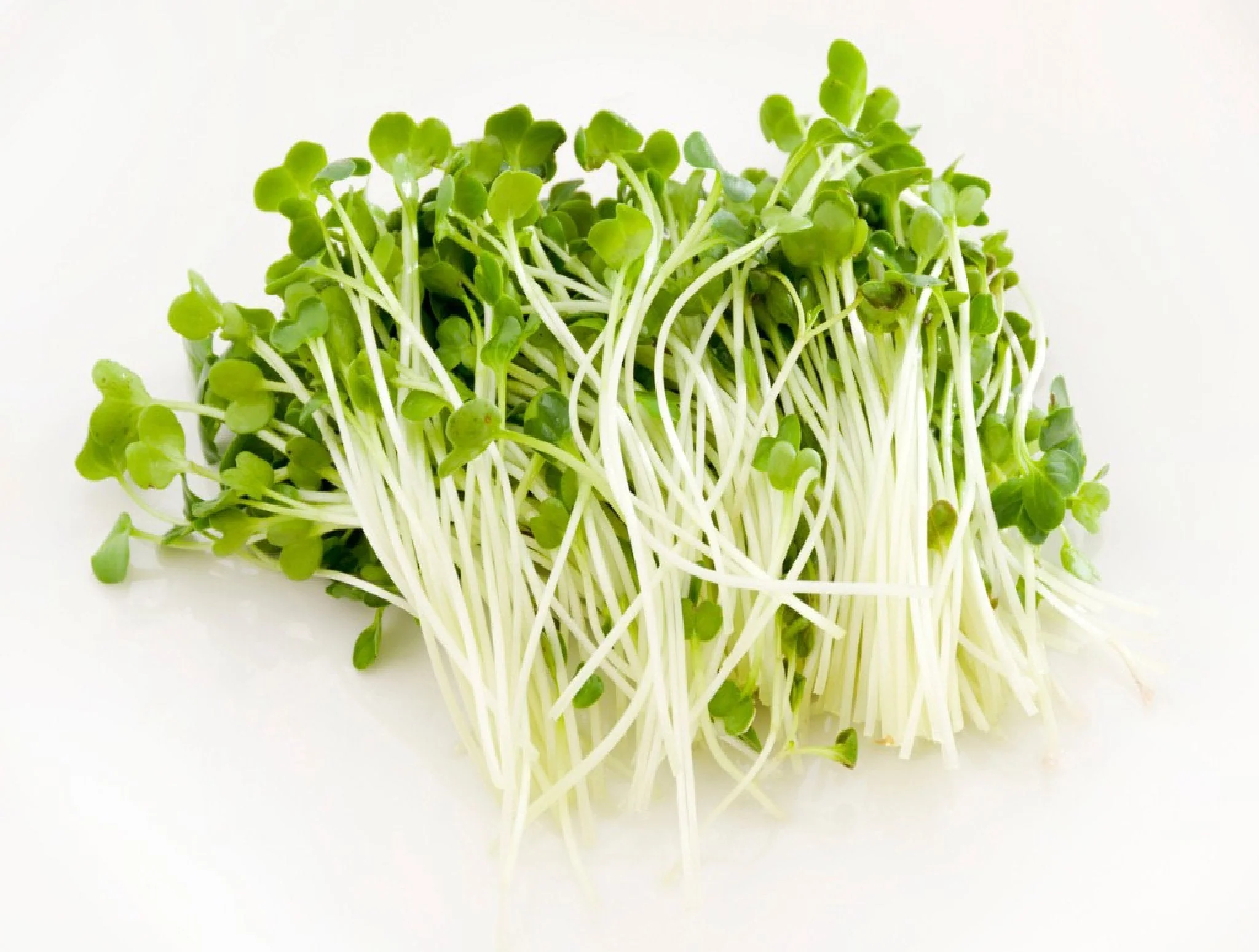 Kaiware Sprouts - Image 2