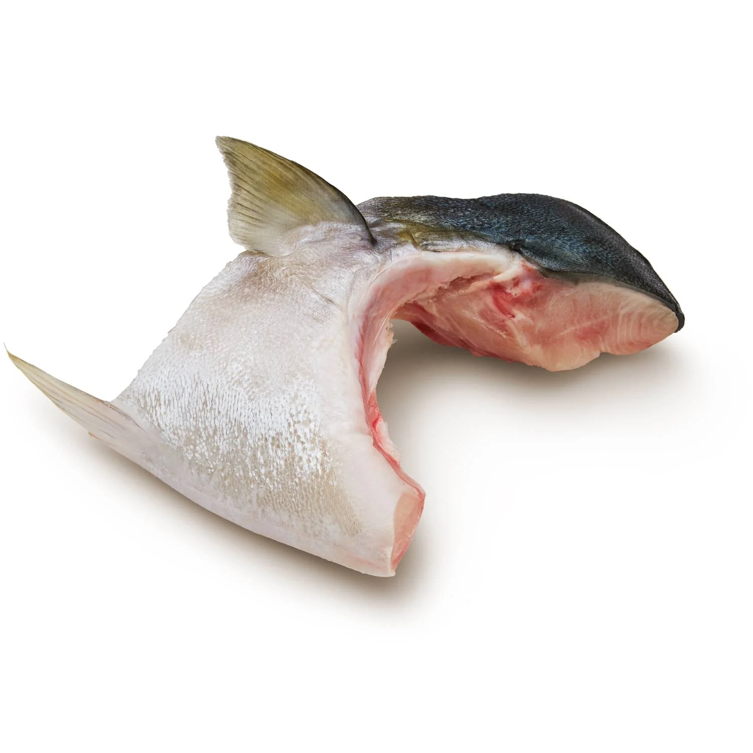 Salmon Collar (Kama) - Image 2