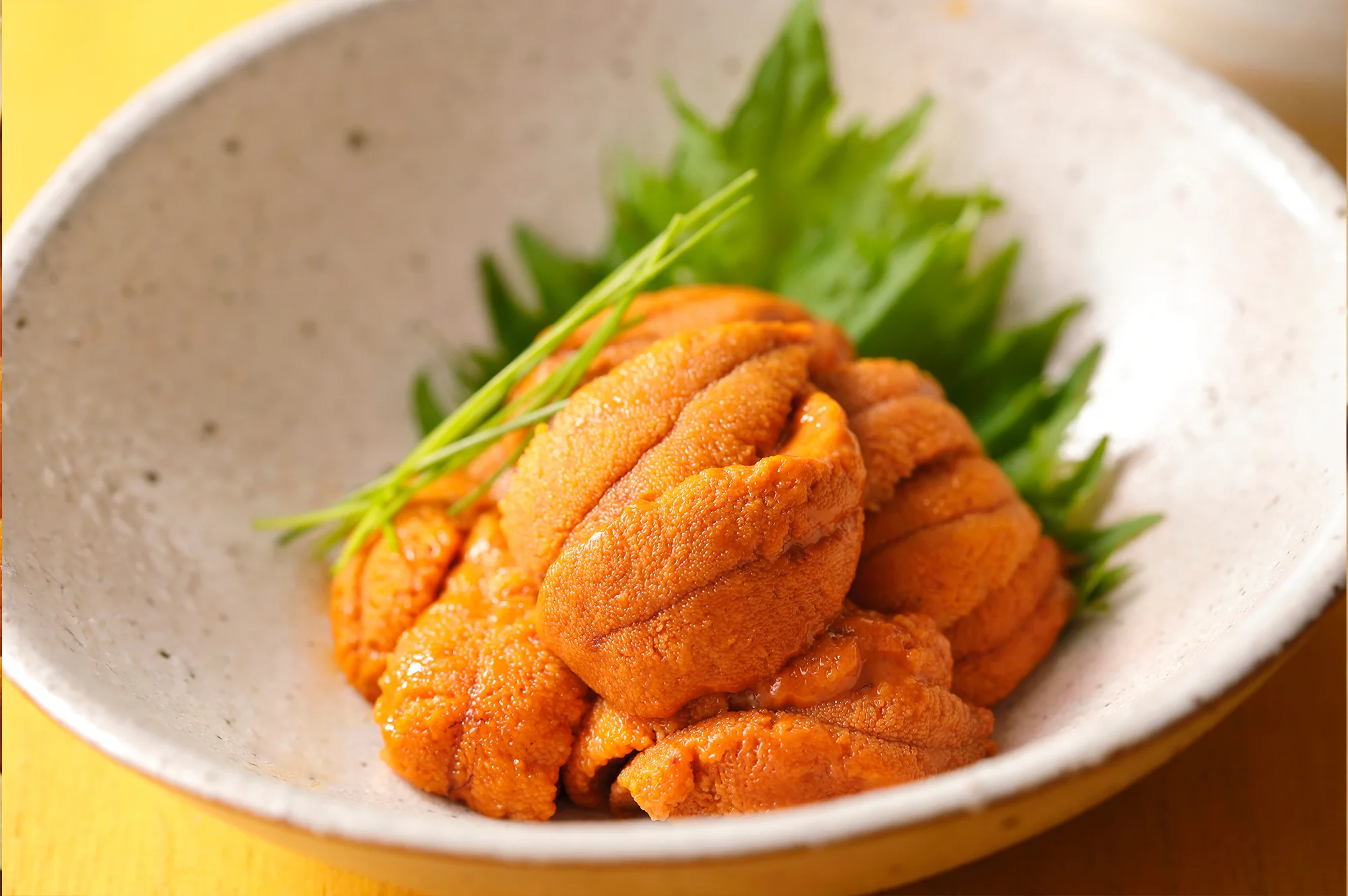 Sea Urchin (Uni) 150G TRAY - Image 2
